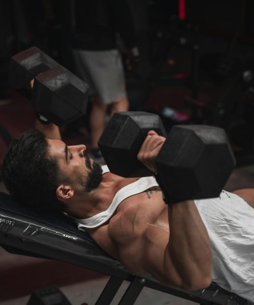 pexels-foadshariyati-29526383