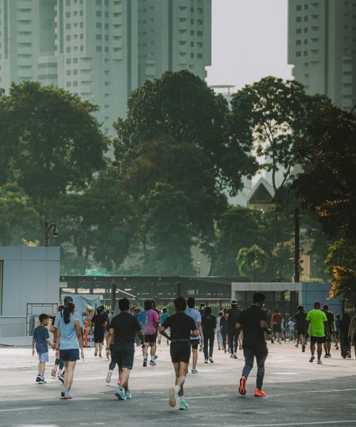 pexels-pamanjoe-21517229